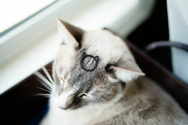 Cat Ears Minimalist Ring (black)